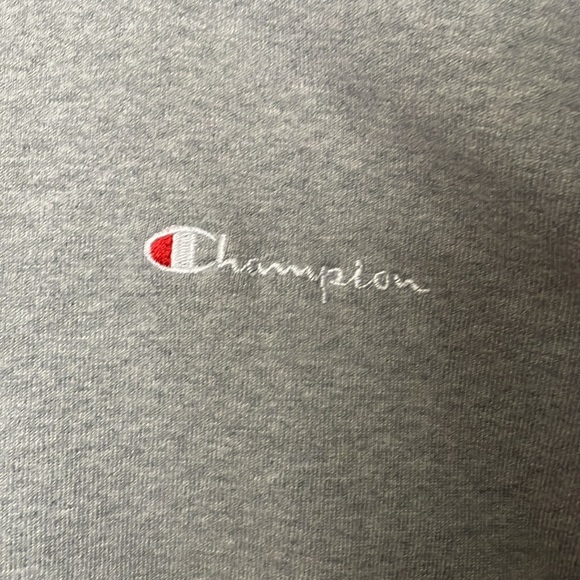 Gray Champion Hoodie - Picture 2 of 4
